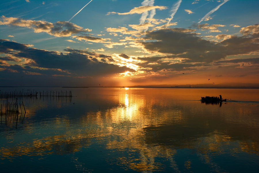 La Albufera de Valencia